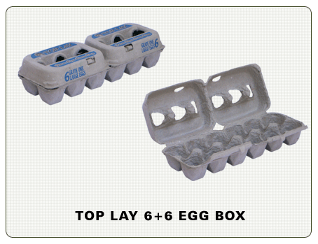 egg boxes